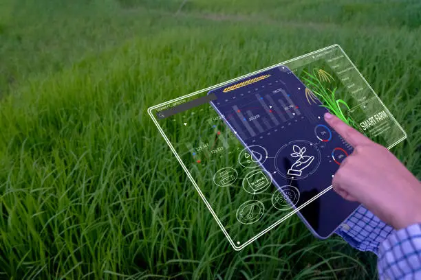 Farmer using transparent digital dashboard to monitor smart farming data in green field